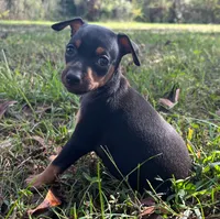 processed/5600b672-98f7-49a6-a73d-cd065ac0b18d/listing/d24e06e7-b30d-4e0b-bc0a-0020a09a4a9c/28db06b1-d186-4949-97cb-50b636898cf1