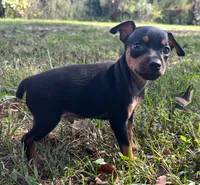 processed/5600b672-98f7-49a6-a73d-cd065ac0b18d/listing/d24e06e7-b30d-4e0b-bc0a-0020a09a4a9c/6ee441bf-b065-412c-b549-bdeec6dbf7d0