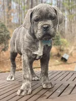 processed/5609deae-5950-4e26-9c69-5ab65132cce3/facility/1ee8256b-ffb4-494a-8b0d-f27aa46c8aea