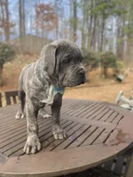 processed/5609deae-5950-4e26-9c69-5ab65132cce3/facility/72104f9f-ef43-4e4f-aed8-0d59fc8924bf