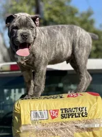 processed/5609deae-5950-4e26-9c69-5ab65132cce3/facility/a06baa8e-e34d-4923-8a3a-274da1600774