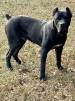 processed/5609deae-5950-4e26-9c69-5ab65132cce3/facility/c21d30de-f66b-470a-b52c-edb88764cb4d