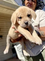 processed/5609deae-5950-4e26-9c69-5ab65132cce3/facility/c9b77571-b686-49e8-b2fa-90e4f30caae8