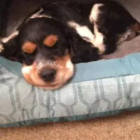 processed/561a7688-754c-4398-9315-605c2de5401f/facility/44c6b932-2d74-4752-ac2c-da125a74c01a