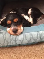 processed/561a7688-754c-4398-9315-605c2de5401f/facility/44c6b932-2d74-4752-ac2c-da125a74c01a