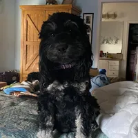 processed/561a7688-754c-4398-9315-605c2de5401f/facility/aa8c9a09-c02c-454b-b81d-884999059037