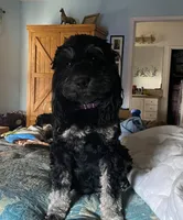 processed/561a7688-754c-4398-9315-605c2de5401f/facility/aa8c9a09-c02c-454b-b81d-884999059037