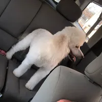 processed/561a7688-754c-4398-9315-605c2de5401f/facility/ffab99a4-edb7-4712-b306-1fdc0117f73f