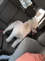 processed/561a7688-754c-4398-9315-605c2de5401f/facility/ffab99a4-edb7-4712-b306-1fdc0117f73f