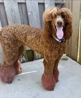 processed/56229125-f45f-4a22-9bd7-6d369036997e/facility/5ef2ea84-fe1b-4e0b-8ab4-e73b2d812bf5