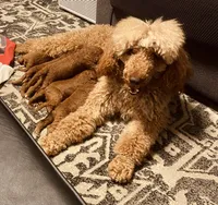 processed/56229125-f45f-4a22-9bd7-6d369036997e/facility/a73f9b2e-a8a2-4298-ba19-dec0fb4f46c8