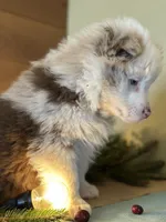 processed/56296d26-c695-44f8-8dca-7582afe3e9f2/listing/bf604918-2990-4166-beda-5844d86a3037/cfa5de1c-4df7-40ef-99ae-71ab81f97aa8