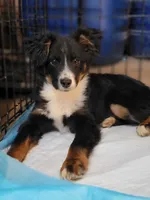 processed/5629d7dc-3784-4e8a-832a-8347172994c0/facility/d87ca5ff-576b-47fe-a52f-86f91d80c0e9