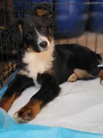 processed/5629d7dc-3784-4e8a-832a-8347172994c0/facility/e45f69f5-471d-4c1e-be2b-a309719f51f3