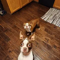 processed/562a3f34-86e2-42ac-9da6-74bd23ac0c7f/facility/40d441e6-899f-499d-bd4b-04ca7ad91d58