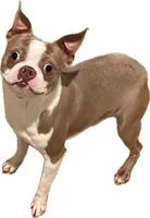 processed/562a3f34-86e2-42ac-9da6-74bd23ac0c7f/facility/4edb416e-afa4-41c6-91d9-f2c8fd907e01