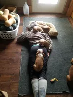 processed/562a3f34-86e2-42ac-9da6-74bd23ac0c7f/facility/7a72342c-24fd-4709-89f2-7796fc0bdcc7