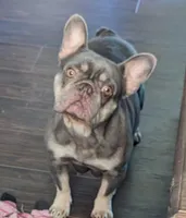 processed/562a3f34-86e2-42ac-9da6-74bd23ac0c7f/facility/a8c0c7a4-3ed0-46a4-bd00-4ef2fd21bec7