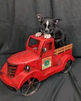 processed/562a3f34-86e2-42ac-9da6-74bd23ac0c7f/facility/e671ece0-d8df-4506-8022-efc722feeb39