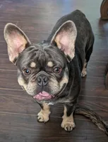 processed/562a3f34-86e2-42ac-9da6-74bd23ac0c7f/facility/f13033a0-4084-4ecd-9716-56636ba21ffe