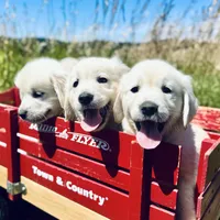 processed/562aac30-6490-447c-b2fc-5451a269dd1e/facility/170de45e-6d22-400c-bc61-42f1251c128a