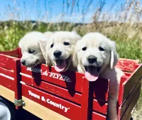 processed/562aac30-6490-447c-b2fc-5451a269dd1e/facility/170de45e-6d22-400c-bc61-42f1251c128a