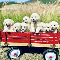 processed/562aac30-6490-447c-b2fc-5451a269dd1e/facility/93d63ce0-a9eb-4d99-91d3-323b967dc127