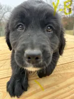 processed/56382879-49af-4add-8105-671ee0f8d78e/listing/43a7fa4e-f450-406a-ba89-2b5357d770ed/314e193f-9d3c-4b8e-96d8-57689de7b7ed