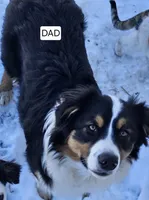 processed/56382879-49af-4add-8105-671ee0f8d78e/listing/43a7fa4e-f450-406a-ba89-2b5357d770ed/4eade3b4-04d5-4947-8529-c7c5be79eaba