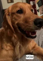 processed/56382879-49af-4add-8105-671ee0f8d78e/listing/43a7fa4e-f450-406a-ba89-2b5357d770ed/5cbd2cd6-ec7a-41ec-bc81-a813702a1e00