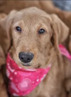 processed/563935d1-e0f1-470c-9d6d-f375111dd965/listing/1179a5eb-2a91-4f99-8eca-216e7840bba1/21997227-d2f7-41dc-b566-e1d13d29740a