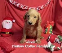 processed/563935d1-e0f1-470c-9d6d-f375111dd965/listing/1179a5eb-2a91-4f99-8eca-216e7840bba1/4683fabb-5104-4c56-abdc-f011136719db