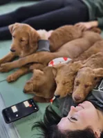 processed/563935d1-e0f1-470c-9d6d-f375111dd965/listing/1555fcbf-cbaa-41b9-82b3-835a40d38309/0c33e5aa-0cae-4974-956b-078dbf067756