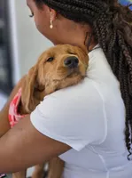 processed/563935d1-e0f1-470c-9d6d-f375111dd965/listing/1555fcbf-cbaa-41b9-82b3-835a40d38309/3c379dba-e892-4ac8-b016-50131eb1e1a9