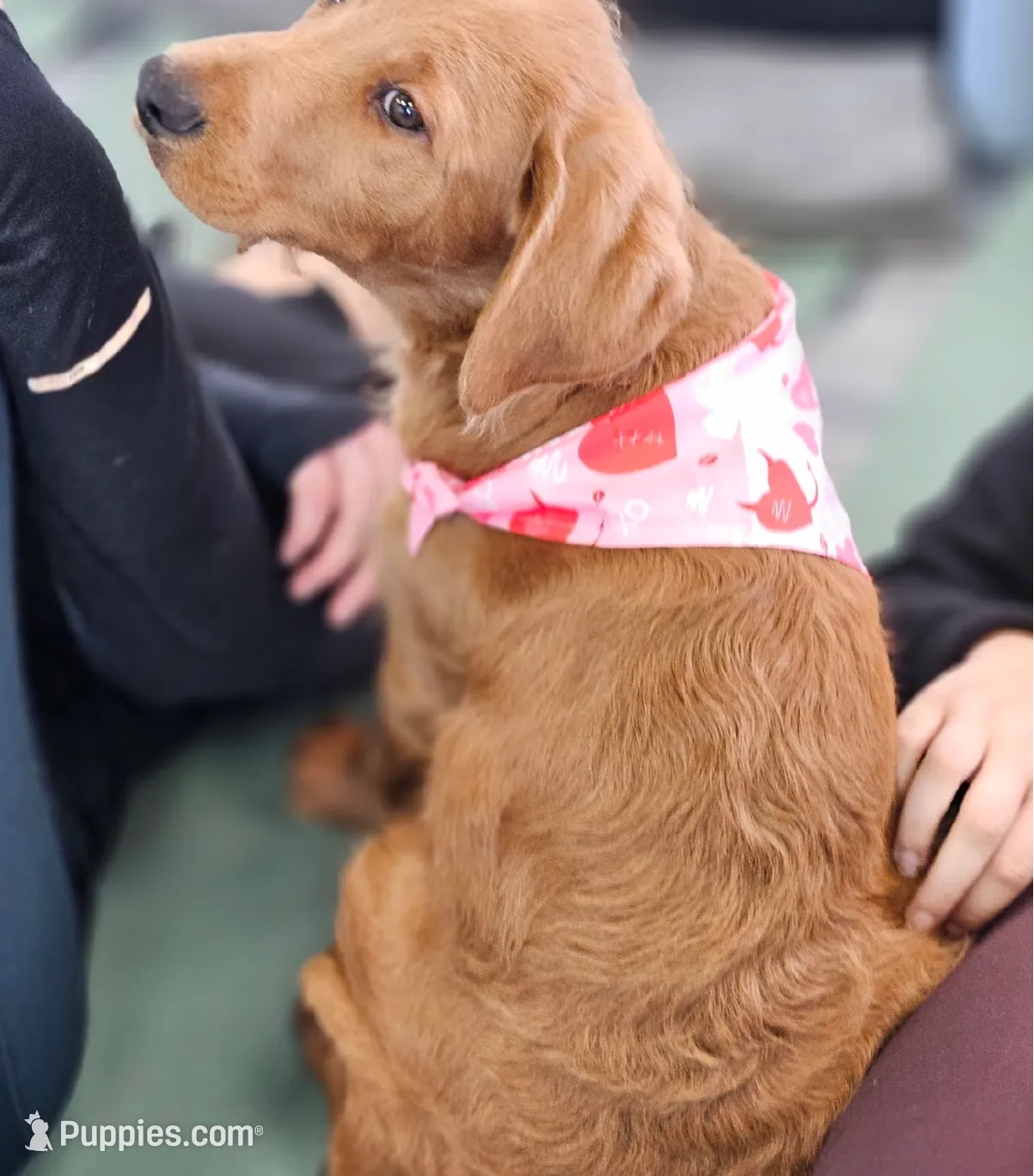 processed/563935d1-e0f1-470c-9d6d-f375111dd965/listing/42a91412-5335-4759-8443-2b4a31bb765c/6178aab8-e776-468d-8013-f829269e7a53