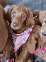 processed/563935d1-e0f1-470c-9d6d-f375111dd965/listing/42a91412-5335-4759-8443-2b4a31bb765c/8a7151bc-1c1b-42de-9f05-fcd76cba28ba