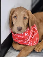 processed/563935d1-e0f1-470c-9d6d-f375111dd965/listing/4c97b86f-6081-44e4-b632-d00fdc445b6c/4472a287-f73d-4d5b-919d-b55f5174fd19