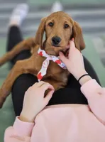 processed/563935d1-e0f1-470c-9d6d-f375111dd965/listing/807405bf-1c3b-4877-b389-b7dc29aa5cf6/22093793-3759-4749-8f20-376840c3eec6