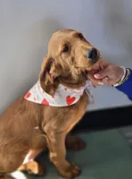 processed/563935d1-e0f1-470c-9d6d-f375111dd965/listing/807405bf-1c3b-4877-b389-b7dc29aa5cf6/2a806efc-4557-4df8-84b9-339de113d037