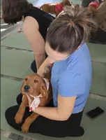 processed/563935d1-e0f1-470c-9d6d-f375111dd965/listing/807405bf-1c3b-4877-b389-b7dc29aa5cf6/8586c082-c06c-4d49-ad41-ff1e77f468a6