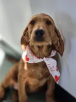 processed/563935d1-e0f1-470c-9d6d-f375111dd965/listing/807405bf-1c3b-4877-b389-b7dc29aa5cf6/97423419-aa8d-46cb-a66d-9254c6d6bfd0