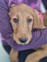 processed/563935d1-e0f1-470c-9d6d-f375111dd965/listing/a41ce02b-d67c-4c39-944f-e61ac7c0ebc5/12aa170e-7660-4268-9ca1-b3f834c79f44