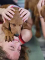 processed/563935d1-e0f1-470c-9d6d-f375111dd965/listing/a41ce02b-d67c-4c39-944f-e61ac7c0ebc5/43def8ba-c2b5-4907-ad9d-036f84db7d38