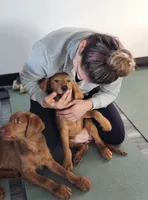 processed/563935d1-e0f1-470c-9d6d-f375111dd965/listing/a41ce02b-d67c-4c39-944f-e61ac7c0ebc5/453a8a87-6995-4acc-b2d5-edd7d252bd8a