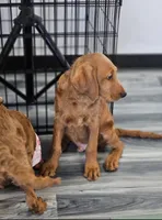 processed/563935d1-e0f1-470c-9d6d-f375111dd965/listing/c1cae855-4b74-4278-a553-1098ec51fffd/abf2362e-39ee-48f1-911d-ab1ae850ab30