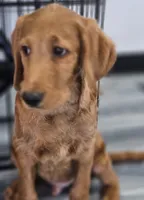 processed/563935d1-e0f1-470c-9d6d-f375111dd965/listing/c1cae855-4b74-4278-a553-1098ec51fffd/dd85c9ed-51df-43d8-9d0e-abb37c92ca8b