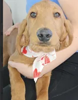 processed/563935d1-e0f1-470c-9d6d-f375111dd965/listing/c95311f2-68e5-45c0-b5f1-e61d044dd26b/38660940-0ac4-435c-9c13-e9b30c086e7a