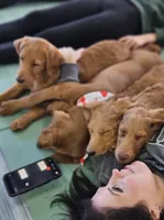 processed/563935d1-e0f1-470c-9d6d-f375111dd965/listing/d2c2467f-38ea-4250-a6ca-a7219361bc5b/bcad5e5b-b21e-4cae-b2e4-04e41acbd4ac