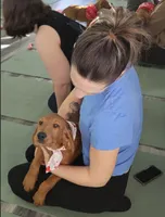 processed/563935d1-e0f1-470c-9d6d-f375111dd965/listing/d2c2467f-38ea-4250-a6ca-a7219361bc5b/fe7703e8-7774-42e7-a91f-6c263d8c766e