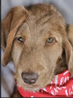 processed/563935d1-e0f1-470c-9d6d-f375111dd965/listing/df3805ec-24ea-4c41-bec2-c5e15d9a85f8/bd241c3c-adfa-4e0c-b36c-37533fcba57b